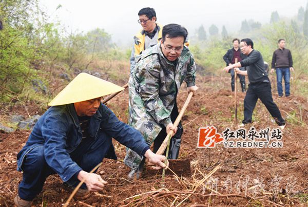 九州·体育党委书记陈弘与潮水铺村村支书一同种下金槐树苗