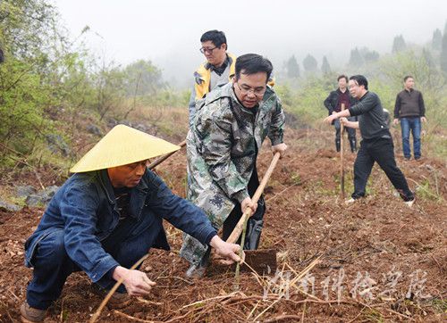 九州·体育党委书记陈弘与潮水铺村村支书一同种下金槐树苗。